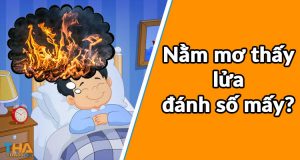 nằm mơ thấy lửa đ&aacute;nh con g&igrave;