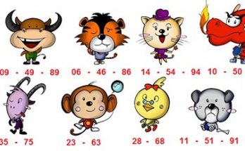 Cách bàn số đề theo 12 con giáp