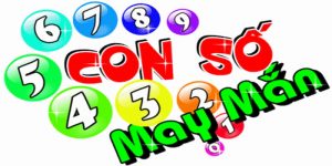 Soi b&oacute;ng của l&ocirc; đề bằng b&oacute;ng &acirc;m dương